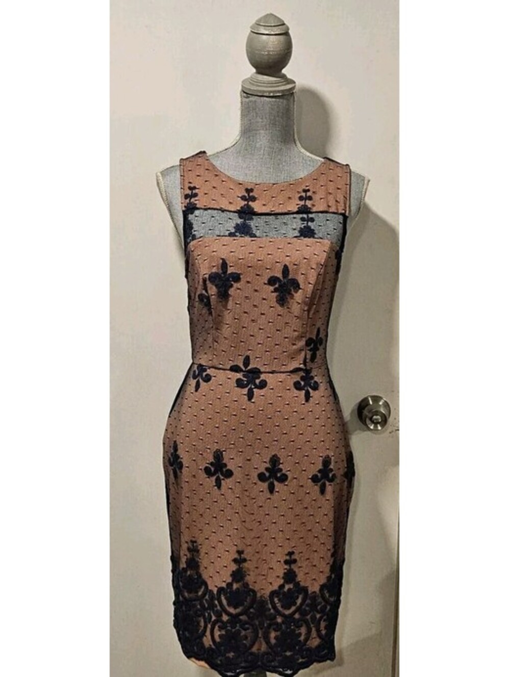 Eva Franco Size 6 Fleur De Lis Afton Dress Blue Lace Lined - Picture 2 of 11